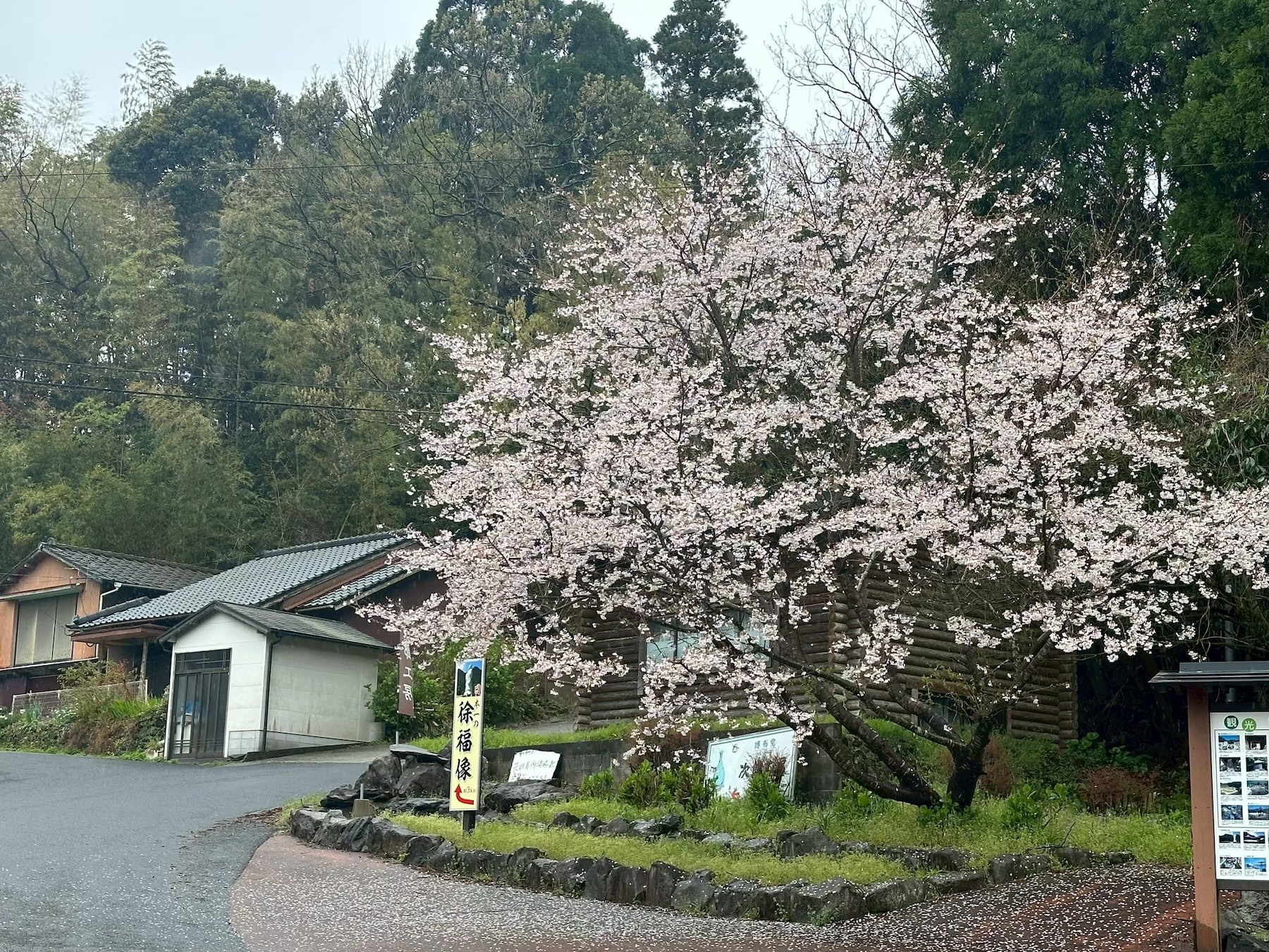 株式会社アサンテ